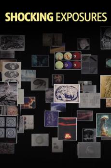 Shocking Exposures: show-poster2x3