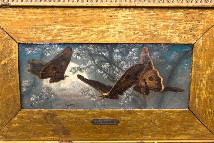 Appraisal: 1859 Oil on Wooden Panel Painting: asset-mezzanine-16x9