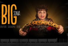 Big Sonia: show-mezzanine16x9