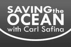 Saving the Ocean: show-mezzanine16x9