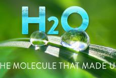 The Molecule That Made Us: show-mezzanine16x9