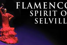 Flamenco: Spirit of Seville: show-mezzanine16x9