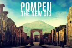 Pompeii: The New Dig: show-mezzanine16x9