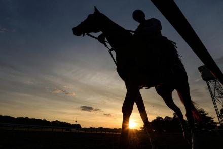 Why horses are dying at U.S. racetracks at an alarming rate: asset-mezzanine-16x9