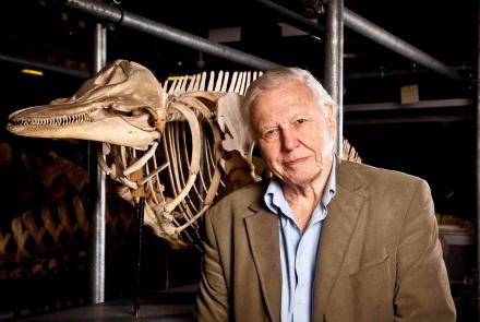 Attenborough's Life Stories, "Our Fragile Planet" - Preview: asset-mezzanine-16x9
