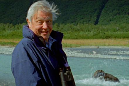 Attenborough's Life Stories: Life on Camera Extended Preview: asset-mezzanine-16x9