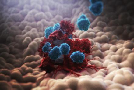How the Immune System Fights Cancer: asset-mezzanine-16x9