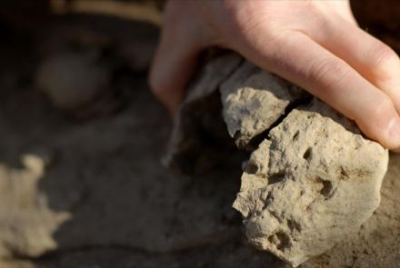 Paleontologists Discover New Mammal Fossils Hidden in Rocks: asset-mezzanine-16x9