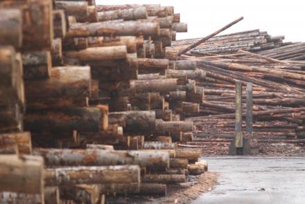 Can Oregon's timber Industry make a comeback?: asset-mezzanine-16x9