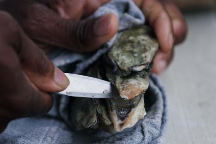 Oysters in South Carolina: asset-mezzanine-16x9