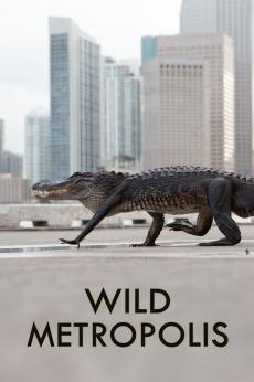 Wild Metropolis: show-poster2x3