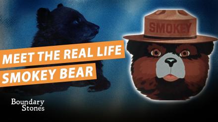 Smokey Bear Was a Real Bear Who Had His Own Zipcode in Washington, DC: asset-mezzanine-16x9