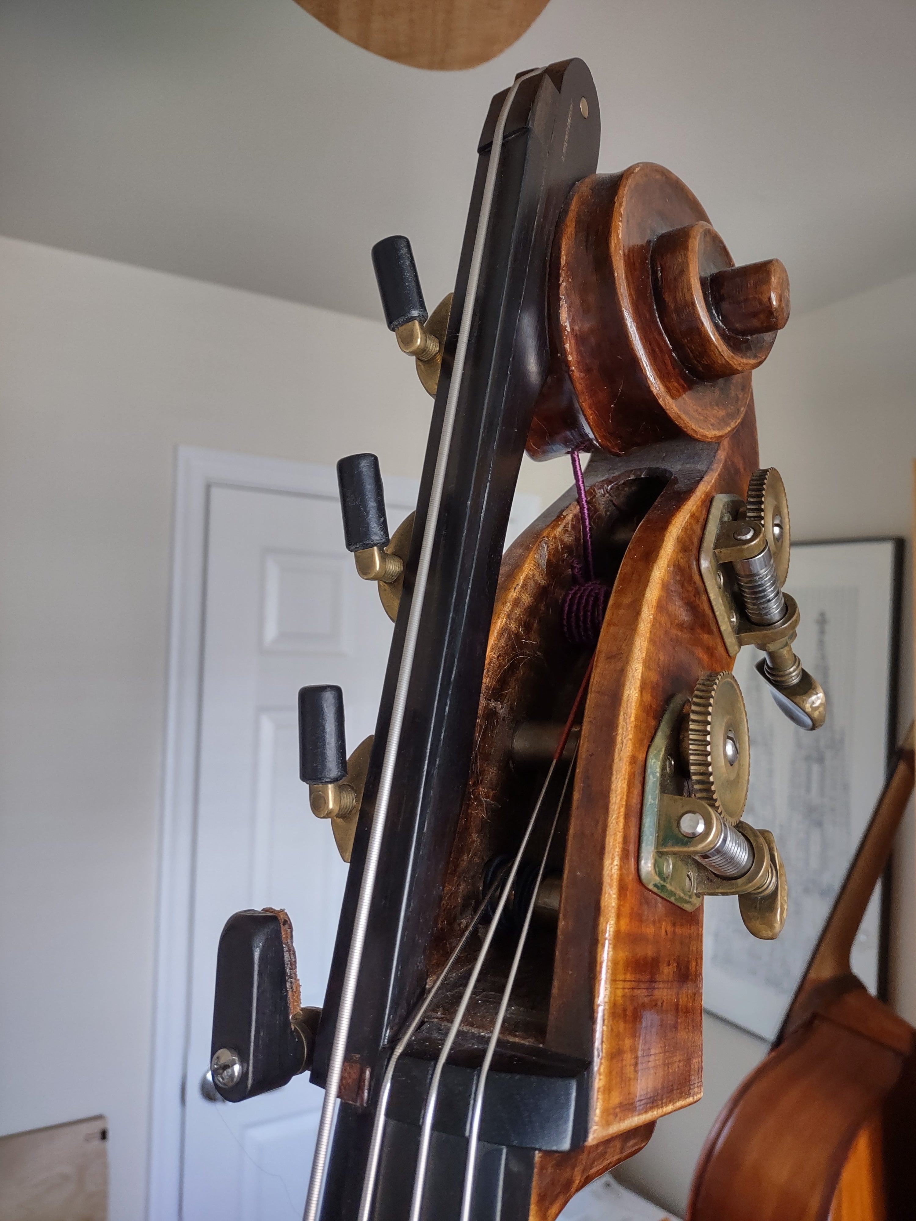 The extension on Robert Oppelt's bass