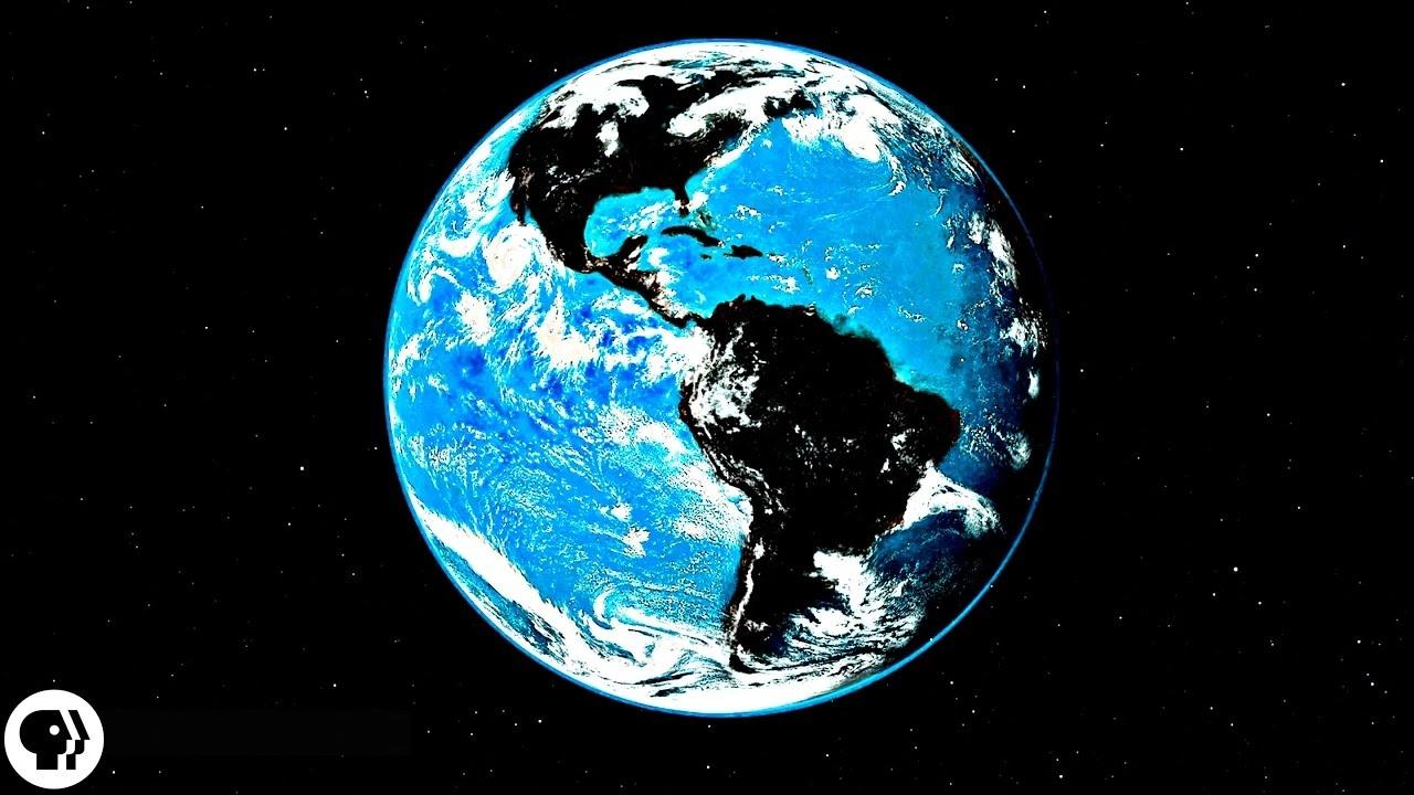 Why aren't plants black? 🌿 WETA