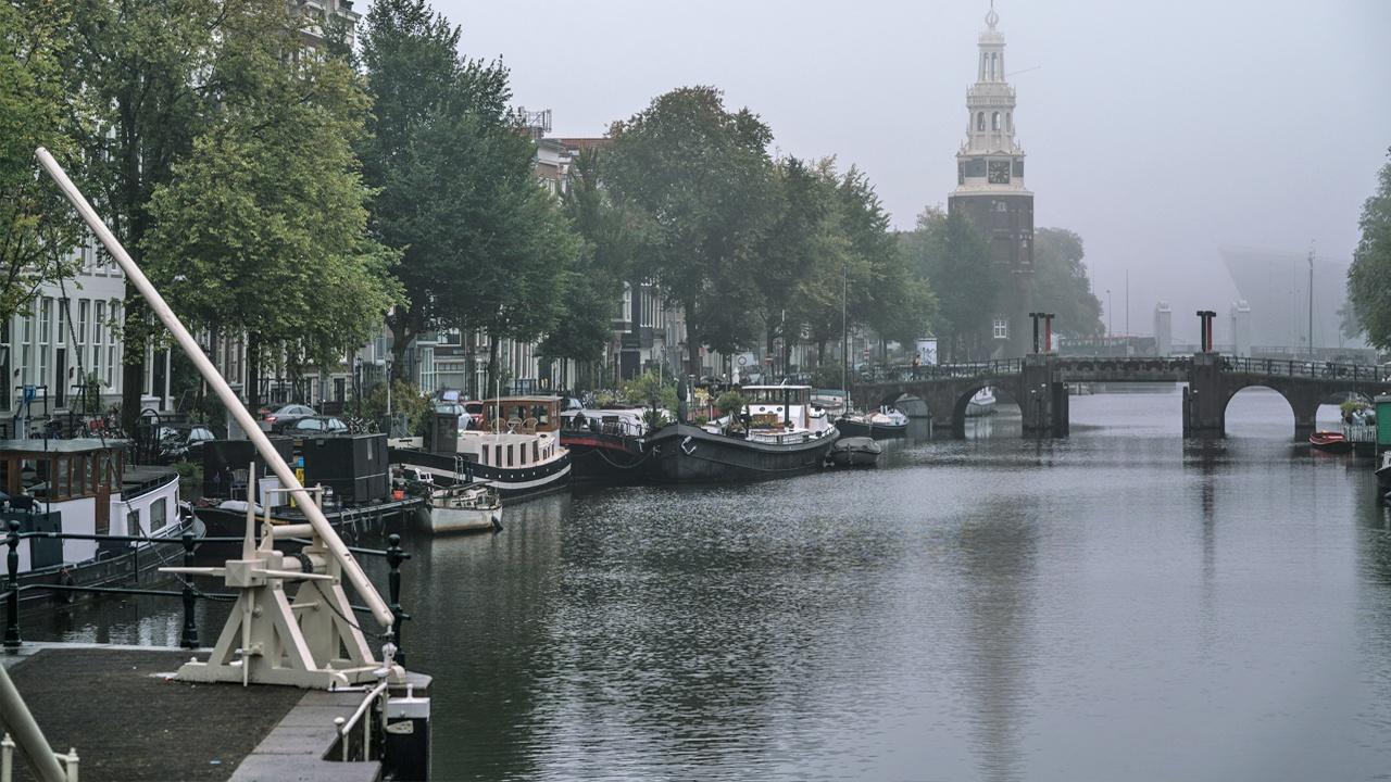 Official Preview WETA