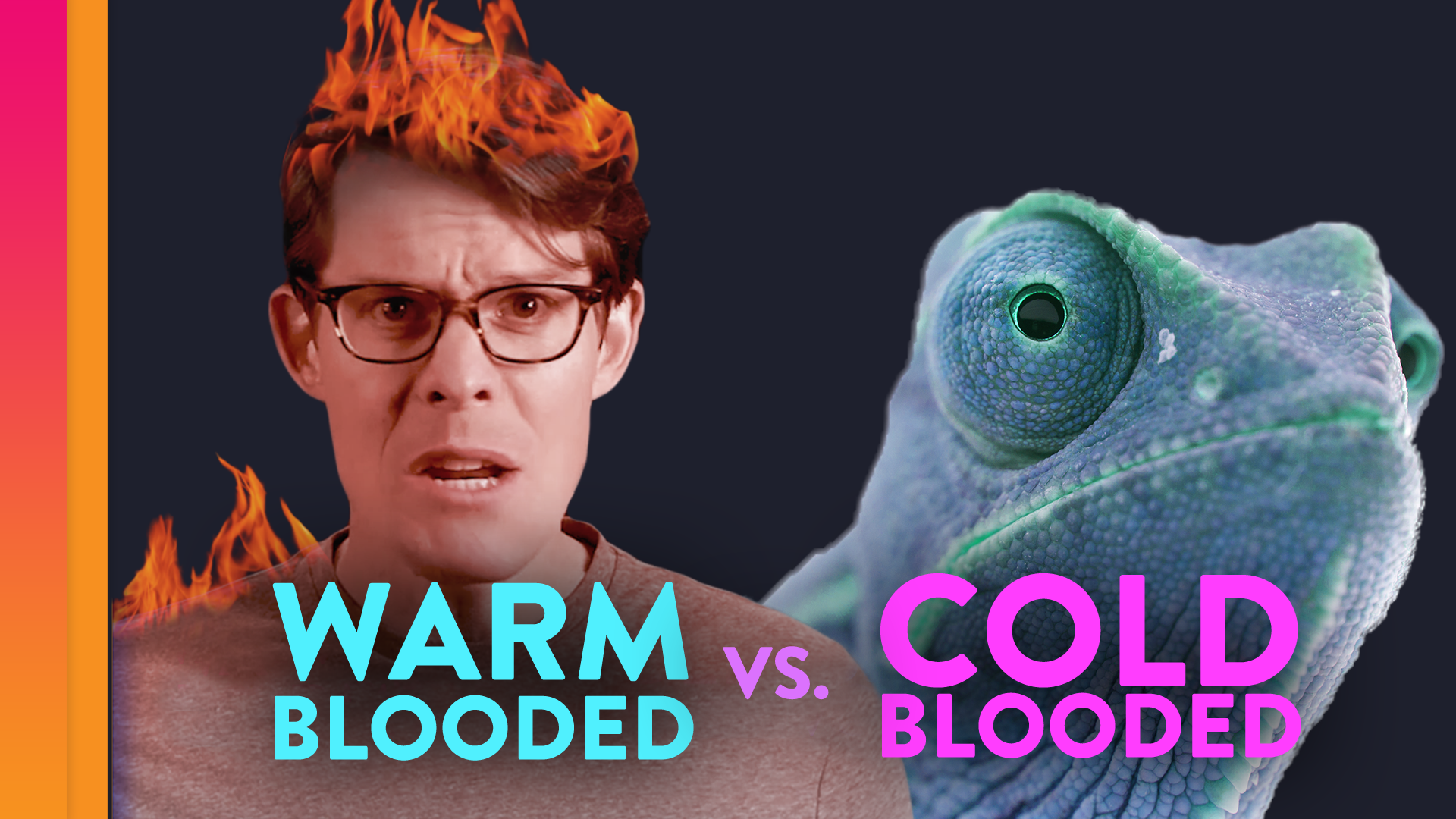 Why Are We WarmBlooded? WETA