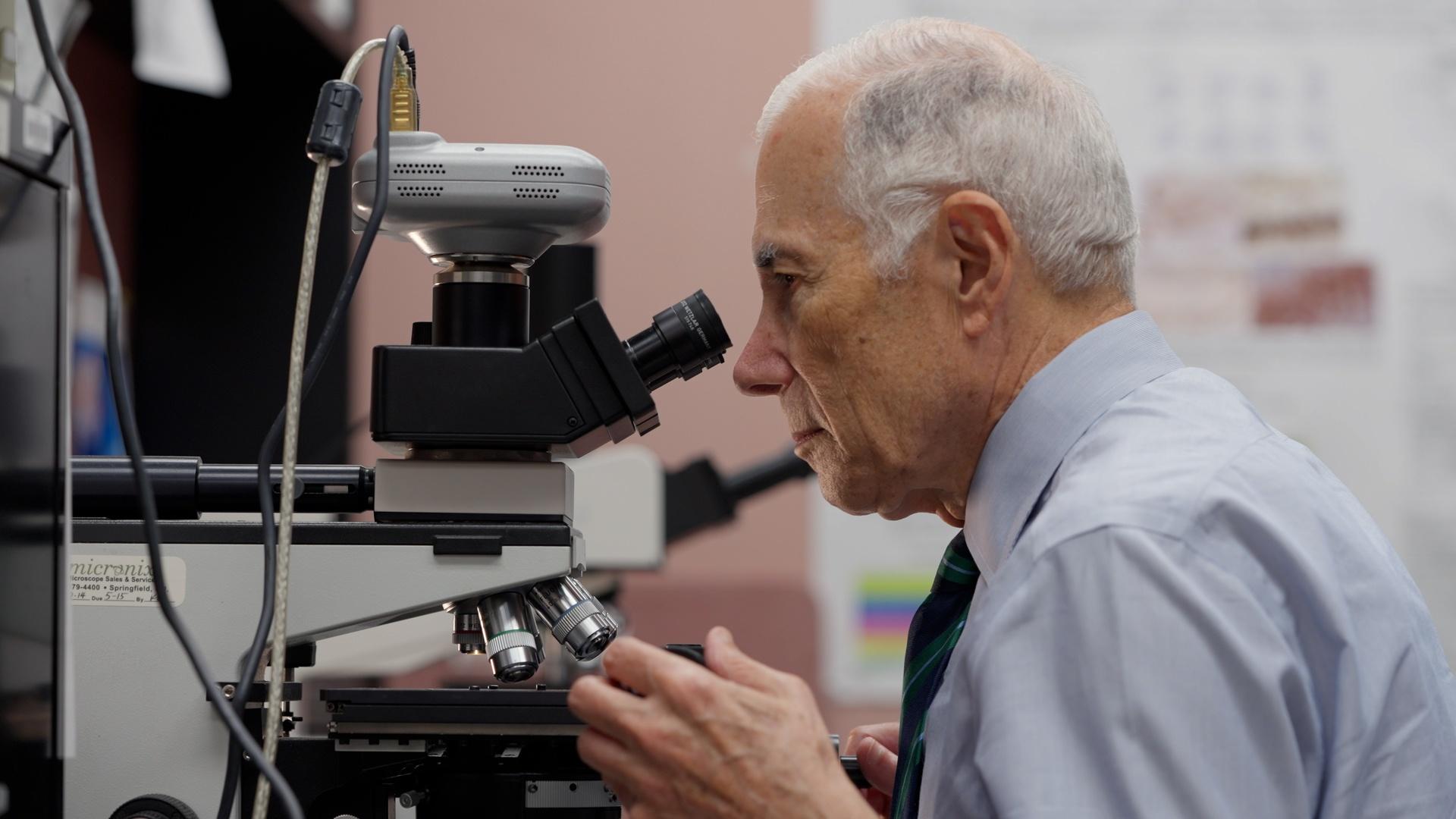 Understanding Suicide Causes And Prevention Weta