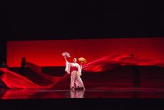 A scene from Act I of Puccini's "Madama Butterfly." Photo: Richard Termine / Met Opera