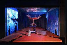 El último sueño de Frida y Diego