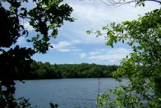 Walden Pond, late June 2012 by Cbaile19
