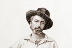 Walt Whitman, age 35 July 1854 steel engraving