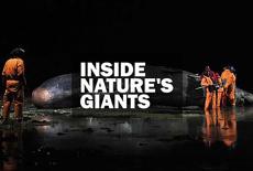 Inside Nature's Giants: show-mezzanine16x9