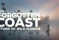The Forgotten Coast: Return to Wild Florida: show-mezzanine16x9