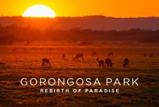 Gorongosa Park: show-mezzanine16x9