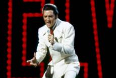 The Seven Ages of Elvis: show-mezzanine16x9