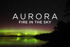 Aurora - Fire in the Sky: show-mezzanine16x9