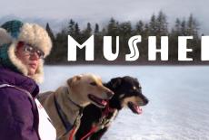 Musher: show-mezzanine16x9