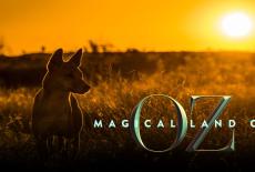 Magical Land of Oz: show-mezzanine16x9