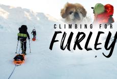 Climbing For Furley: show-mezzanine16x9