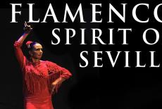 Flamenco: Spirit of Seville: show-mezzanine16x9