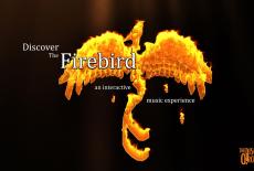 Discover the Firebird: show-mezzanine16x9
