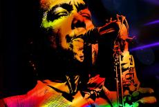 Bird: Not Out Of Nowhere: show-mezzanine16x9