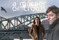 A Murder of Crows: show-mezzanine16x9