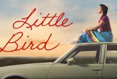 Little Bird: show-mezzanine16x9