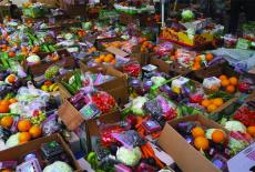 Abundance: The Farmlink Story: show-mezzanine16x9