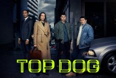 Top Dog: show-mezzanine16x9