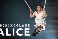 Lookingglass Alice: show-mezzanine16x9