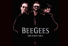 Bee Gees: One Night Only: show-mezzanine16x9
