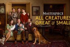 All Creatures Great and Small: show-mezzanine16x9