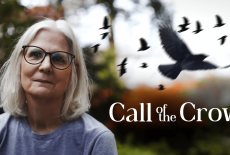 Call of the Crow: show-mezzanine16x9