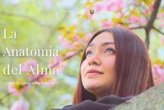 La Anatomia del Alma (The Anatomy of a Soul): show-mezzanine16x9