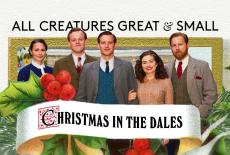 All Creatures Great and Small: Christmas in the Dales: show-mezzanine16x9
