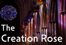 The Creation Rose: show-mezzanine16x9