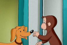 Curious George: TVSS: Iconic