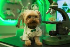 Odd Squad: TVSS: Iconic