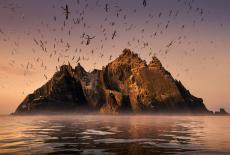 Ireland's Wild Coast: TVSS: Iconic